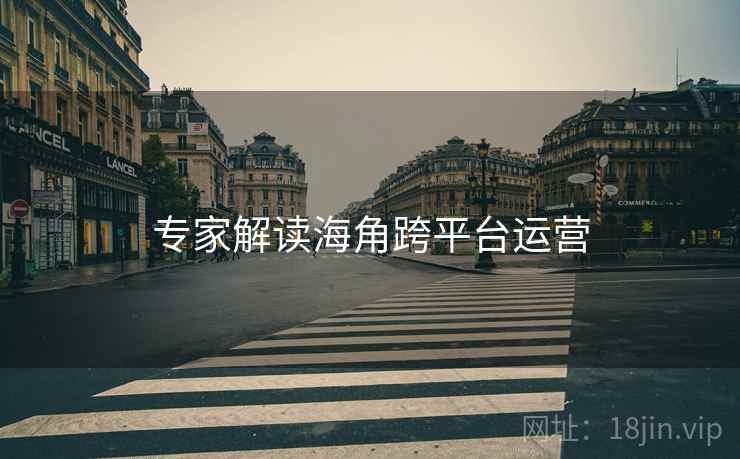 专家解读海角跨平台运营