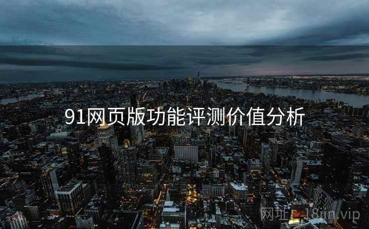 91网页版功能评测价值分析