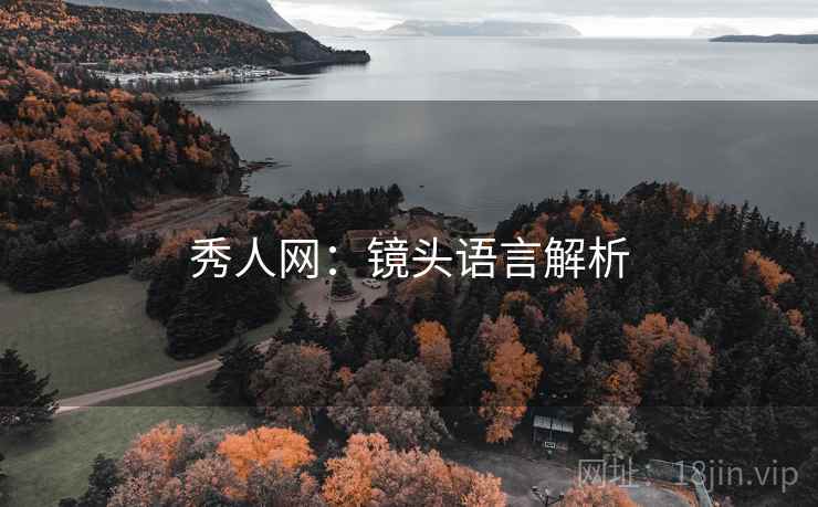 秀人网：镜头语言解析
