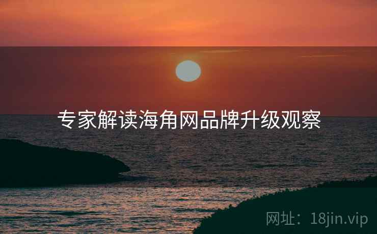 专家解读海角网品牌升级观察