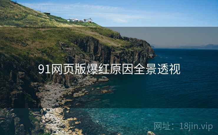 91网页版爆红原因全景透视