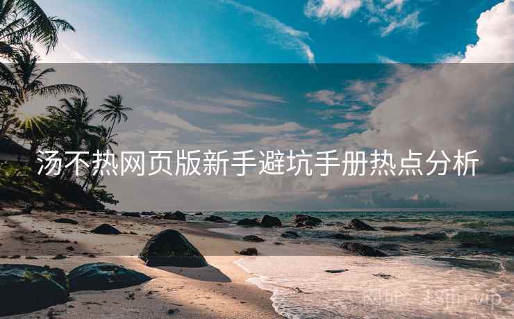 汤不热网页版新手避坑手册热点分析