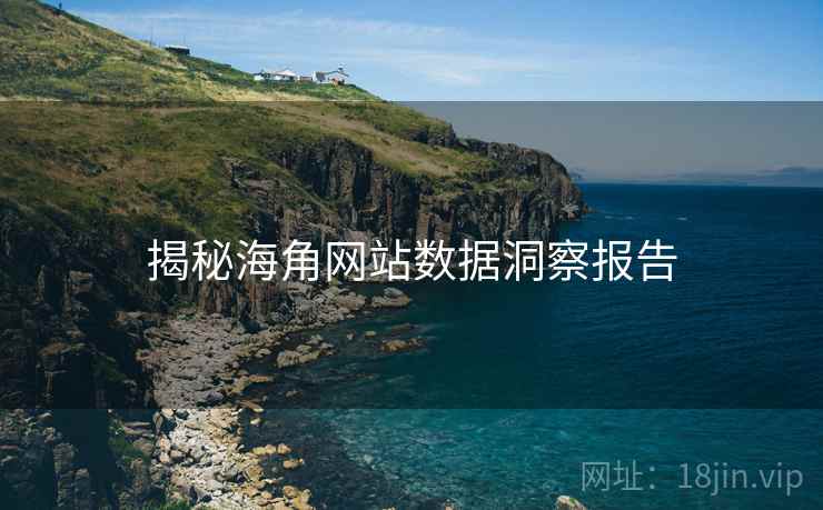 揭秘海角网站数据洞察报告