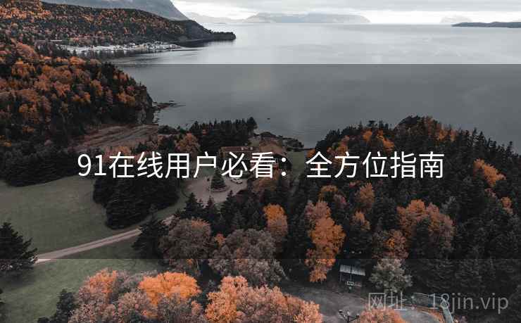 91在线用户必看：全方位指南